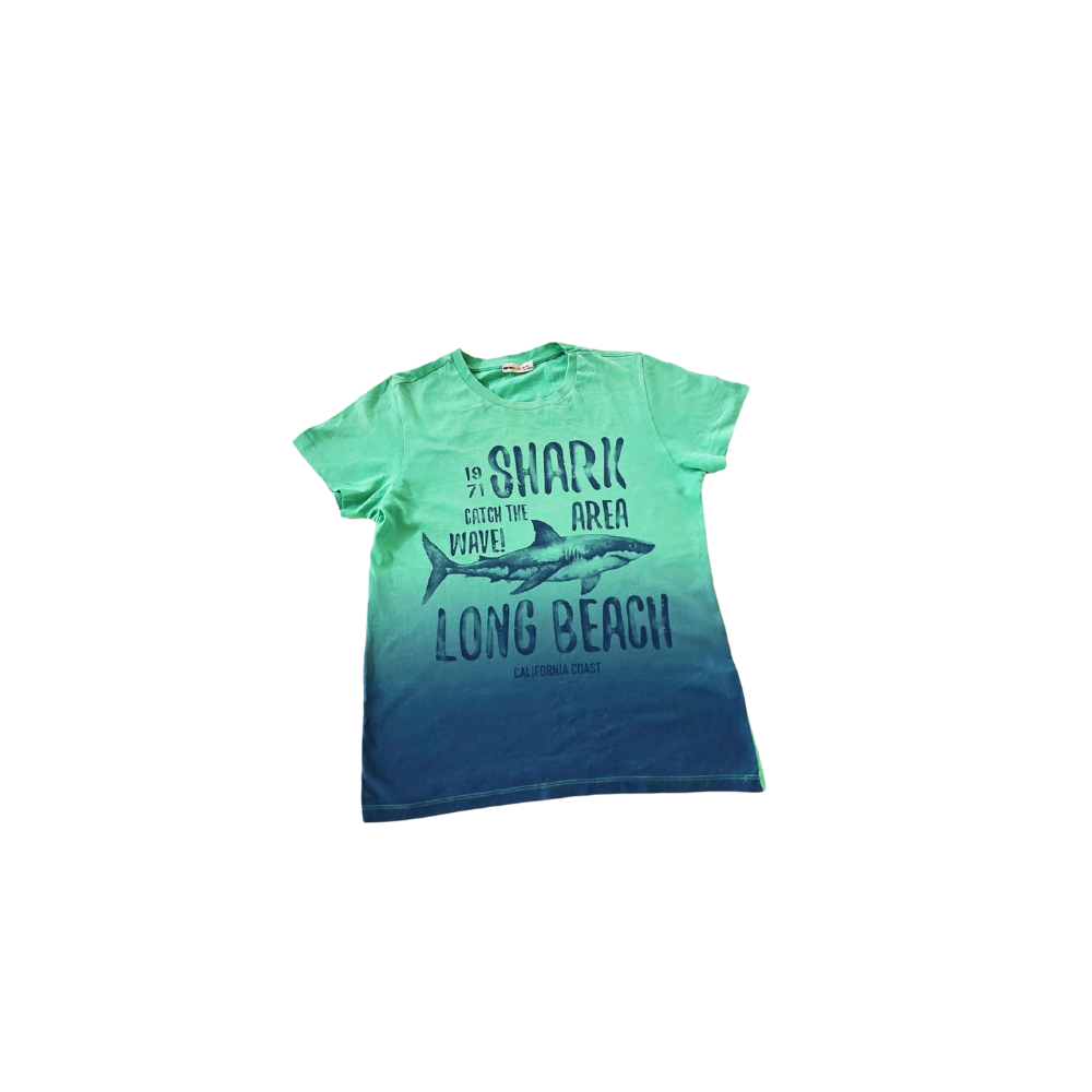 B - T-shirt coton 9-10 ans #49