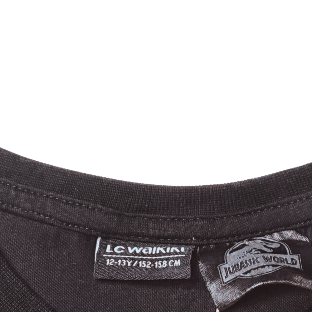 B - Jurassic World 12 - 13 ans #164