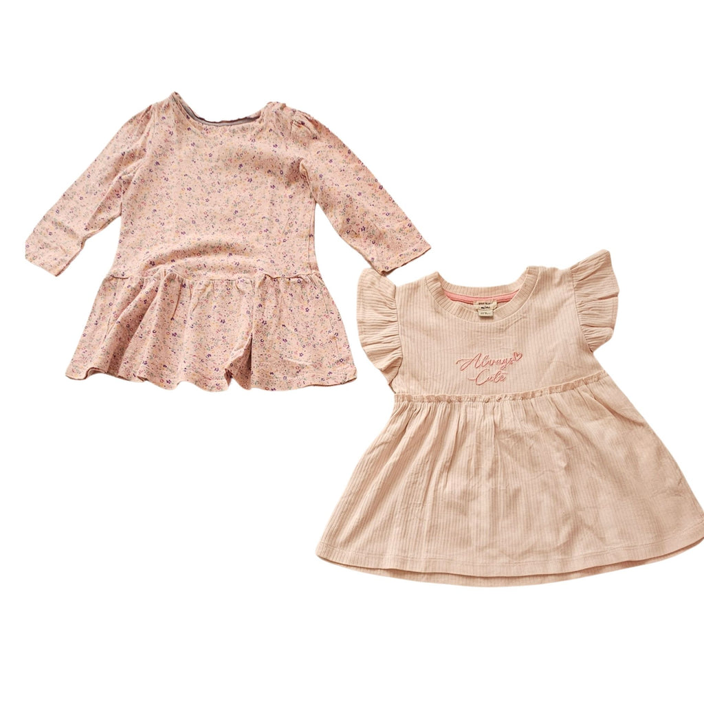 B - Lot de 2 robes 9 - 12 mois  #363